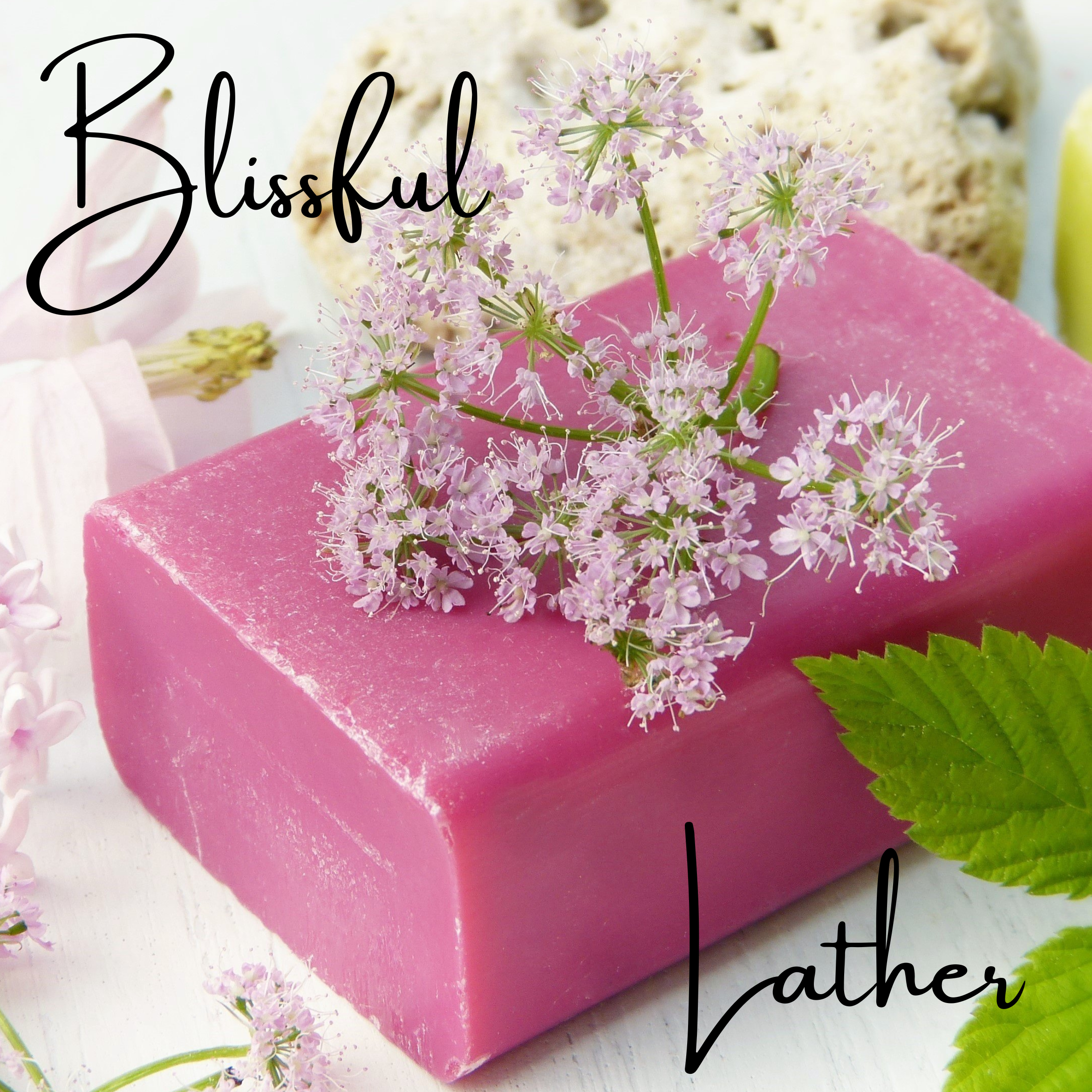 Blissful Lather